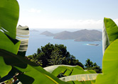 Tropical Forest Hike & Beach - Princess Cruises - Cancelled